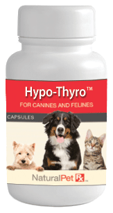 Hypo Thyro - 100 Capsules